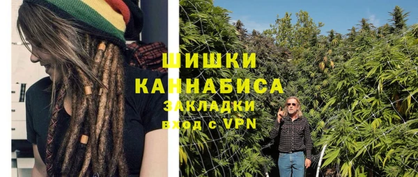 бутират Белокуриха